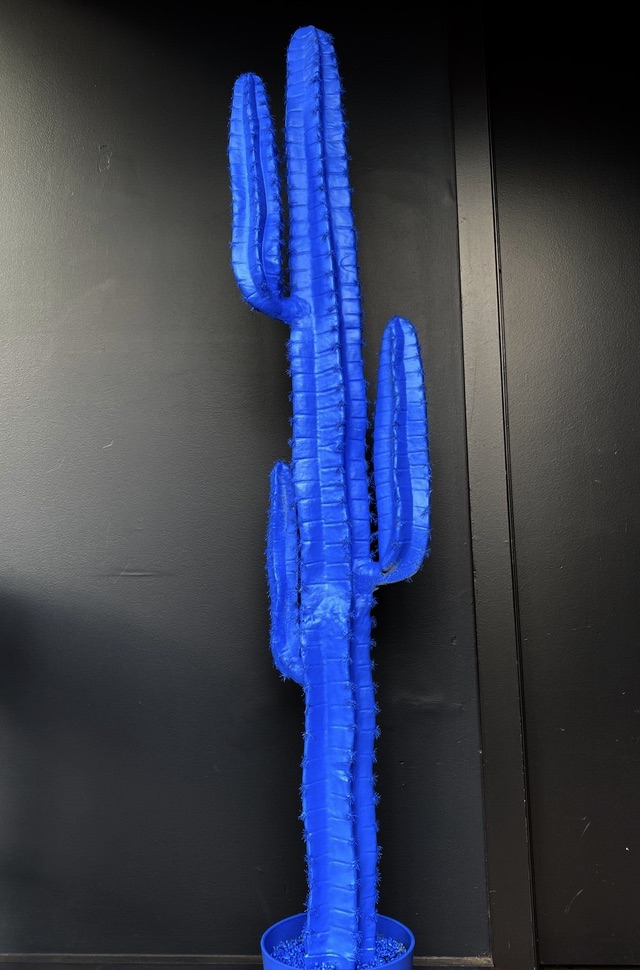 CACTUS, Painted Blue 1.5m High